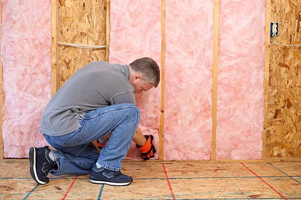 Types of Insulation We Offer in Talty, TX